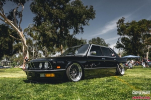 bimmerfest-2014-bmw-vr-61