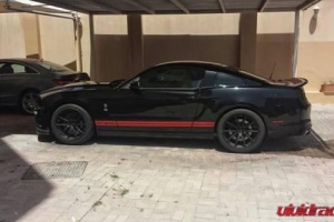 mustang_matte_g25_3