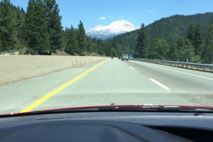 sutton-focus-st-trip-4