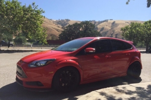 sutton-focus-st-trip-8