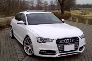 Audi S5 Sport Back with HRE Wheels P40SC Conical