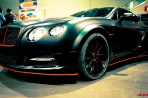 bentleygtveilsidewing3