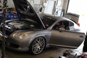 stefan-bentley-tune-2