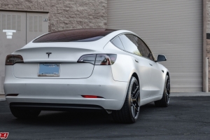 VR-Cust-Super-Dump-Jun11_21-1590