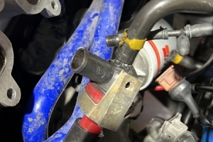 Photo-Aug-25-4-46-52-PM