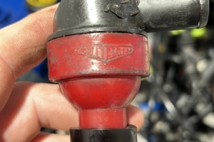 Photo-Aug-25-4-48-15-PM