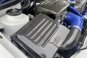 Photo-Feb-09-2025-5-17-47-PM