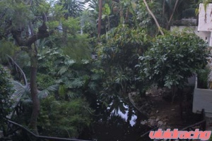 Gumball 3000 Rally from Europe 2004