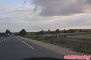 Gumball 3000 Rally from Europe 2004