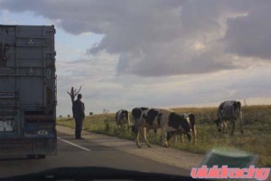 Gumball 3000 Rally from Europe 2004