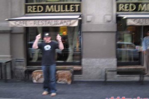 Gumball 3000 Rally from Europe 2004