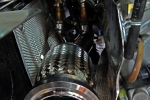 dsc01449-copy-768x1024