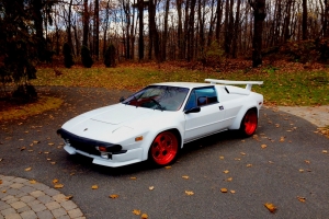 jalpa-rotiform