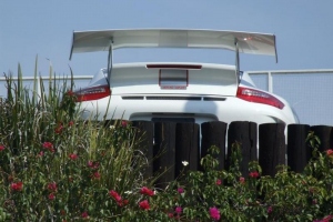 Mexico Huge Porsche Meet