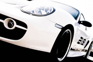 Isringhausen Porsche Race Porsche Cayman S