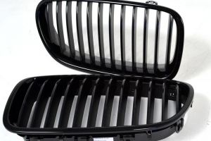 Blacked out Front Grills