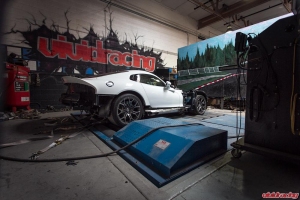 dyno_stockviper-2