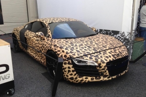 photo-nov-07-11-00-28-am