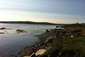 iphonepicturebackup 003