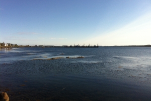 iphonepicturebackup 004