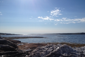 iphonepicturebackup 026