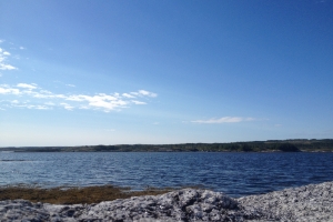 iphonepicturebackup 027