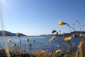 iphonepicturebackup 048