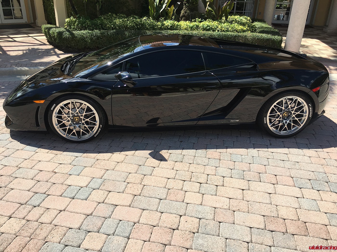 Lamborghini Gallardo, LP560, Swift springs, suspension, lowering kit