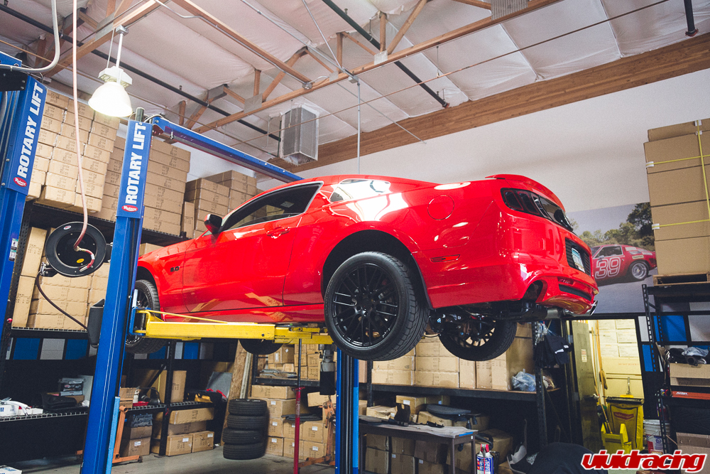 Vivid Racing Borla Exhaust Mustang_-2