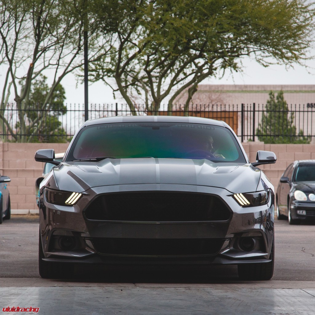 2015 Mustang Eibach Springs-12