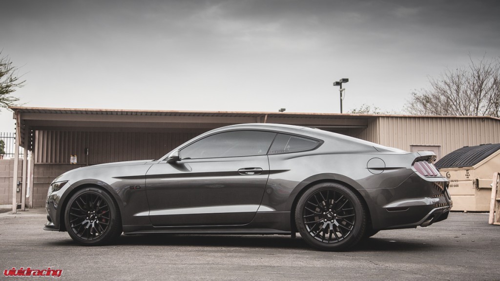 2015 Mustang Eibach Springs-18