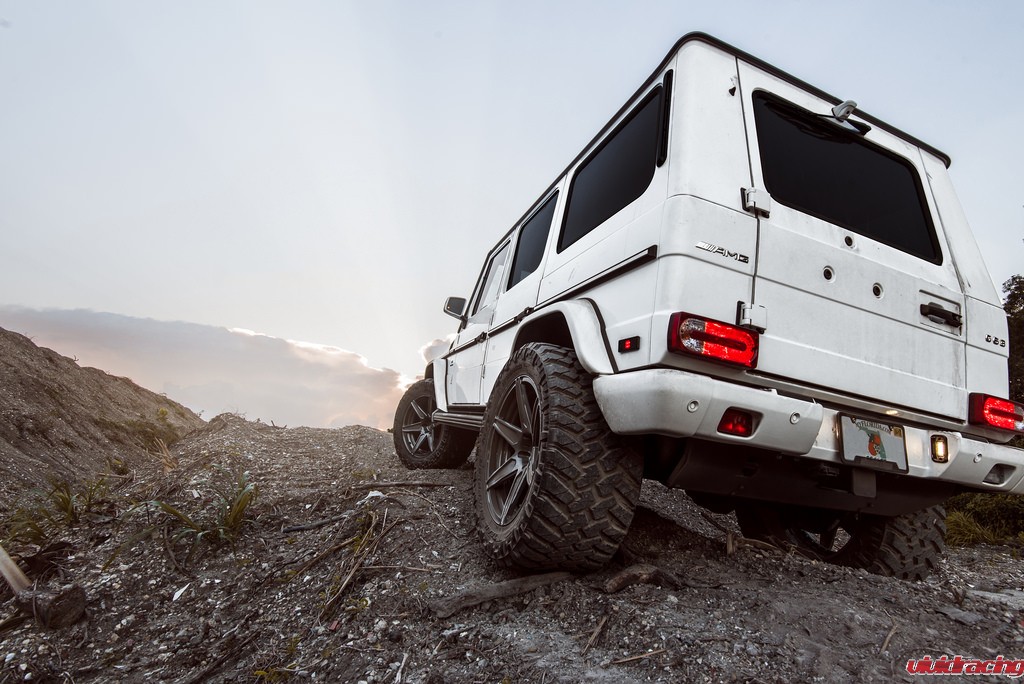 29103055062_5ebe2259cf_b