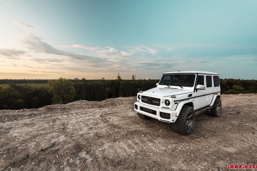 29103066612_f56591f58b_b