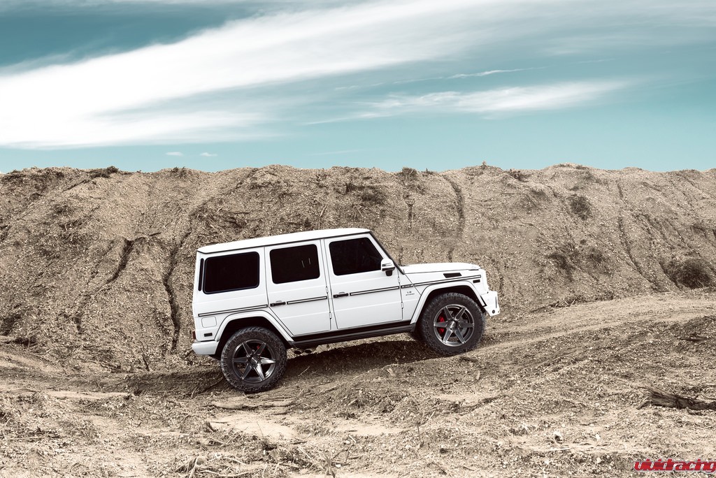 29132394571_c6c5dea6ba_b