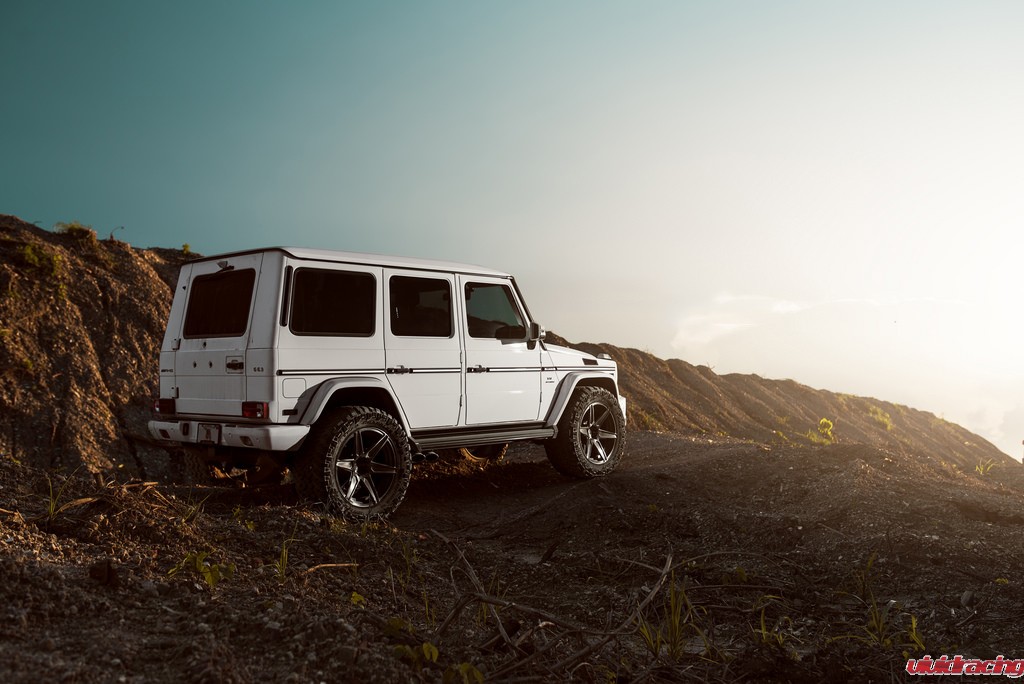 29176530136_ca232ee5de_b