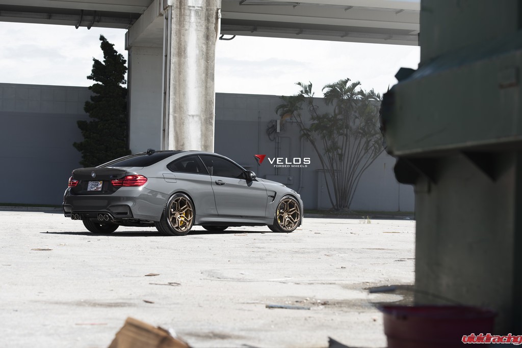 29942676955_47f1a5f4a0_b