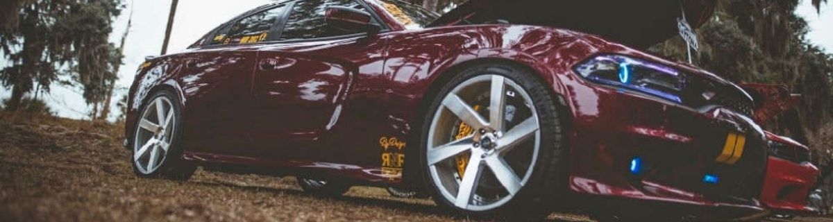 BRVT-452 Maddox Banner