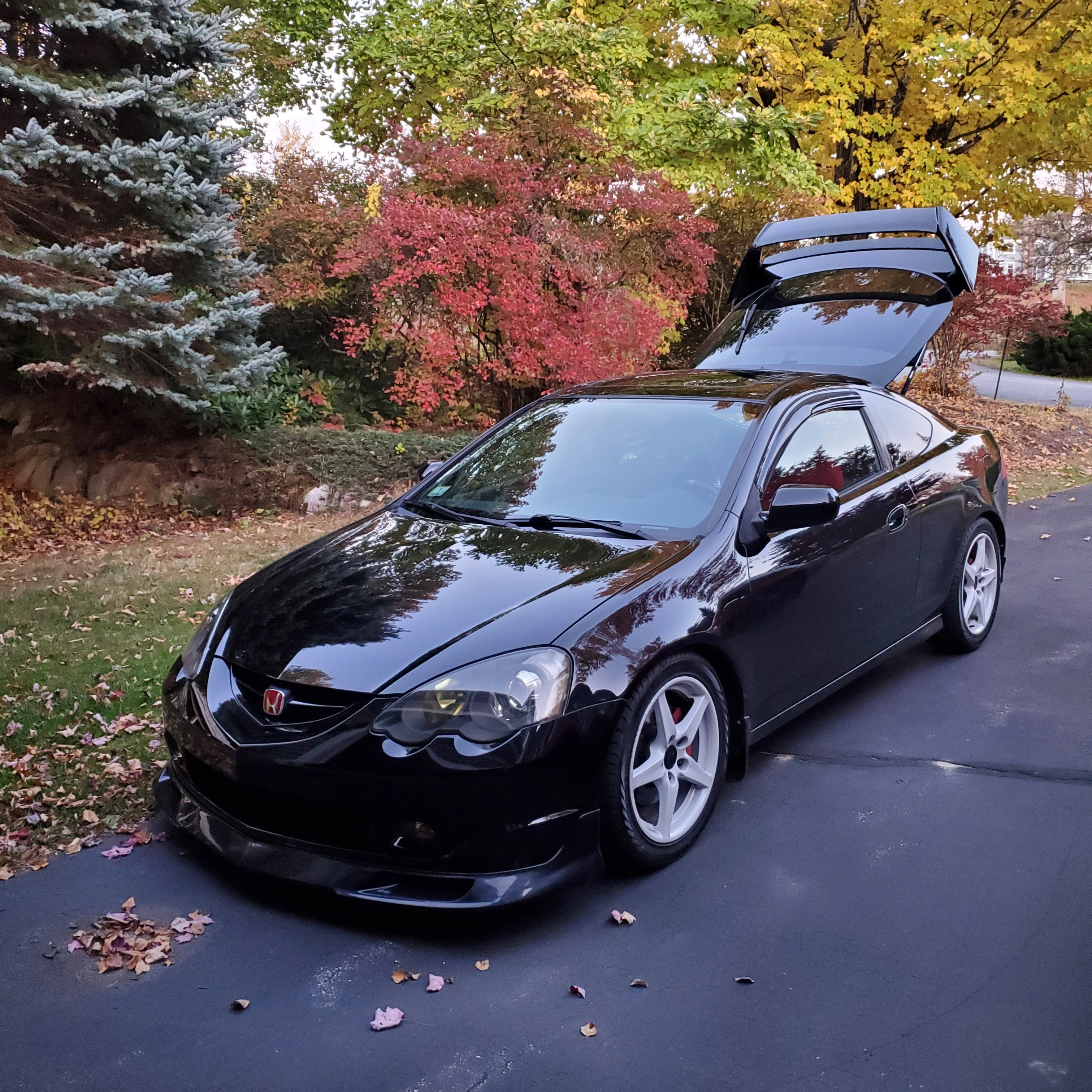 2004 Acura RSX Vivid Racing modifications