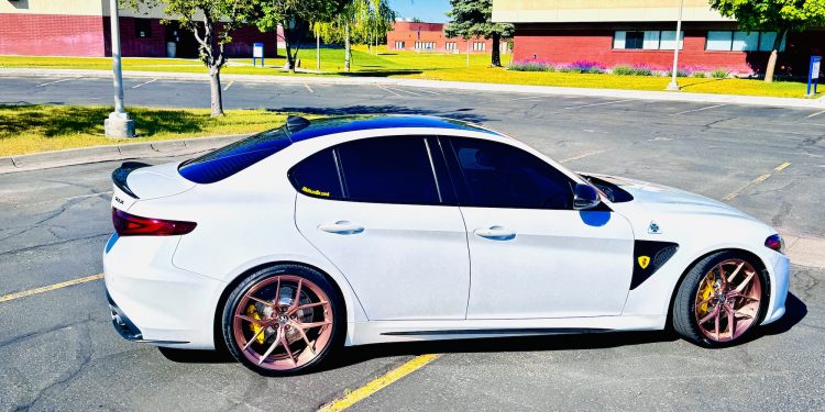 2019 Alfa Romeo Giulia Vivid Racing modifications