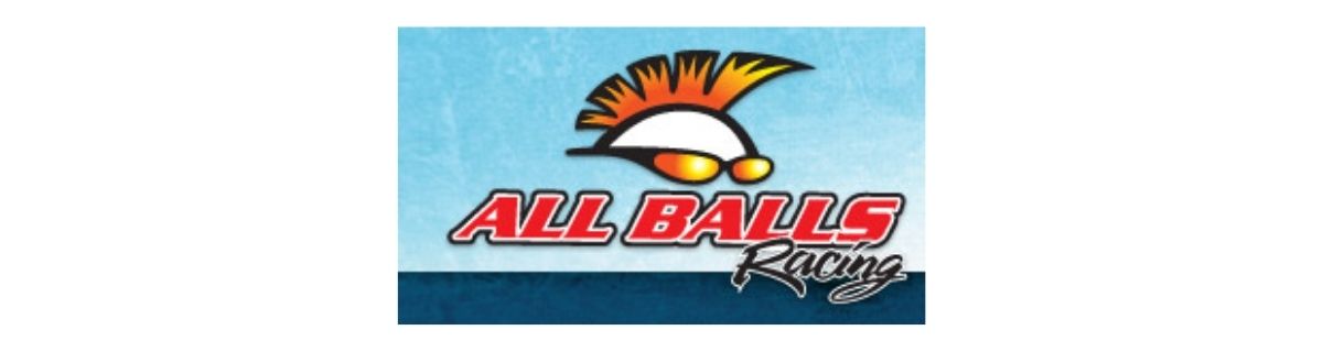 ALL BALLS 26-1447 KIT REVISIONE CARBURATORE Polaris Outlaw 500 500cc 2006 