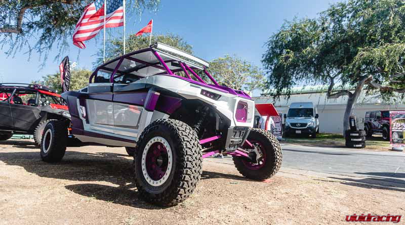 Custom_RZR_Bodykit-157