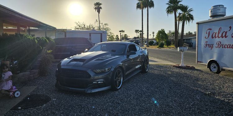 2015 Ford Mustang Vivid Racing modifications
