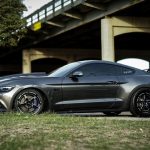 Ford-Mustang-GT-2015-99aafcd5-97ca-43d5-8ad6-057976437bb2-1733505810.jpeg 2015 Ford Mustang GT Vivid Racing modifications