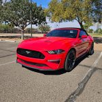 2019 Ford Mustang GT Vivid Racing modifications