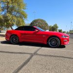 2019 Ford Mustang GT Vivid Racing modifications