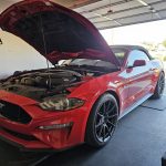 2019 Ford Mustang GT Vivid Racing modifications