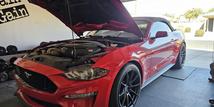2019 Ford Mustang GT Vivid Racing modifications