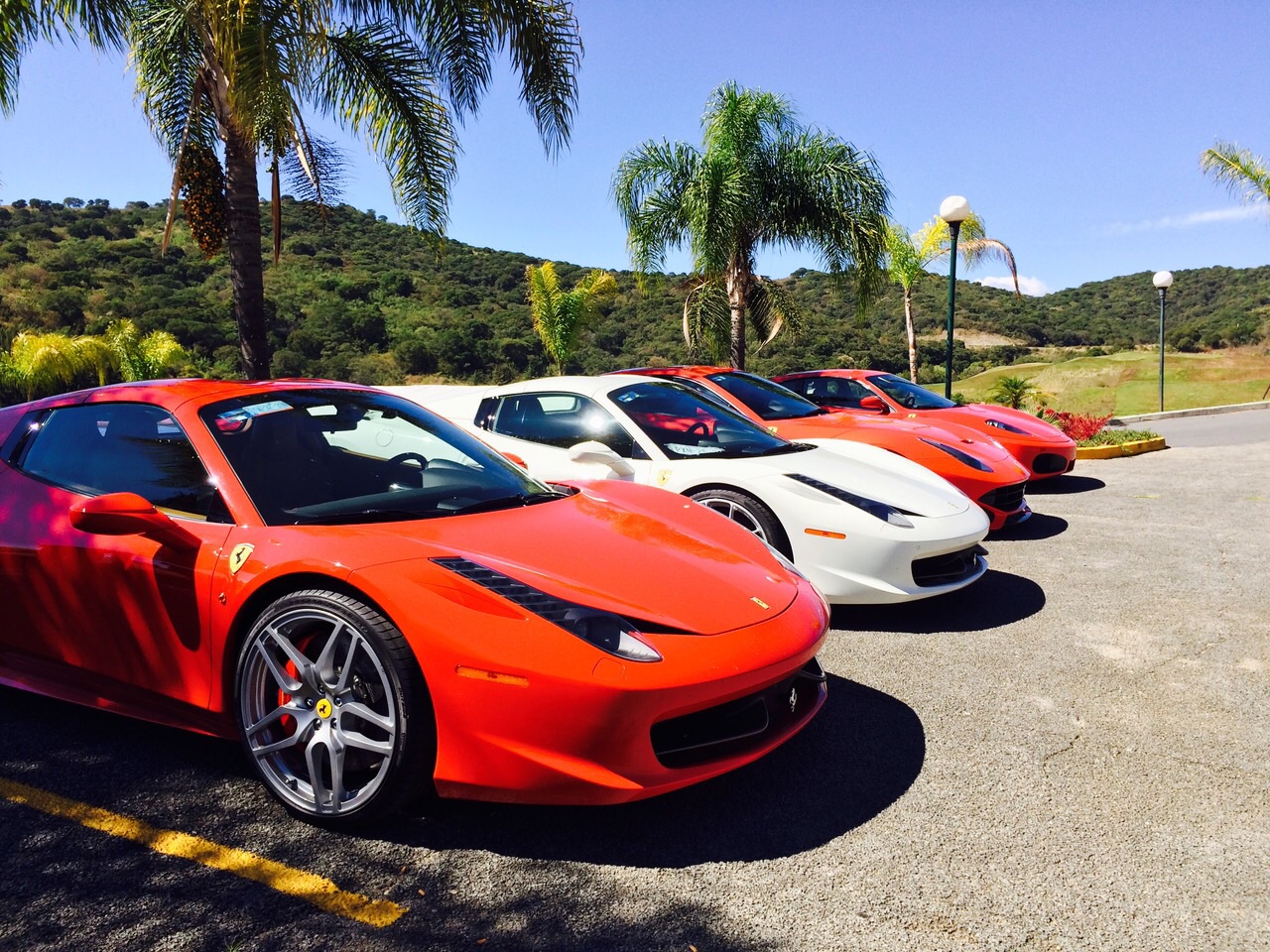 Ferrari F12 and 458 Porn