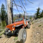 Jeep-Wrangler-1998-featured-afd320db-4504-4a9d-9446-226adc091e78-1721435239.jpeg 1998 Jeep Wrangler Vivid Racing modifications