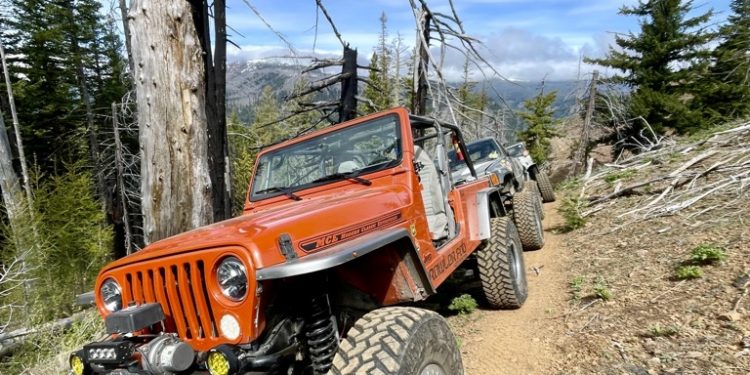 1998 Jeep Wrangler Vivid Racing modifications